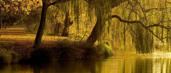 river